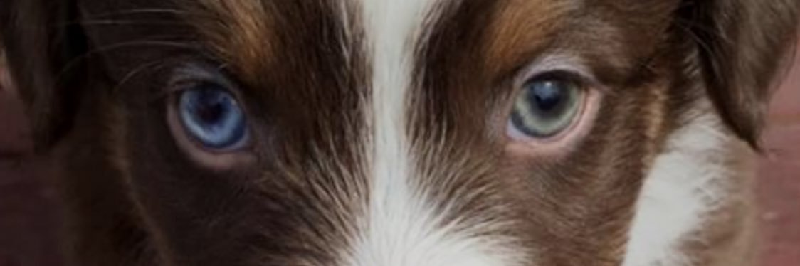 BBisson112's profile banner image