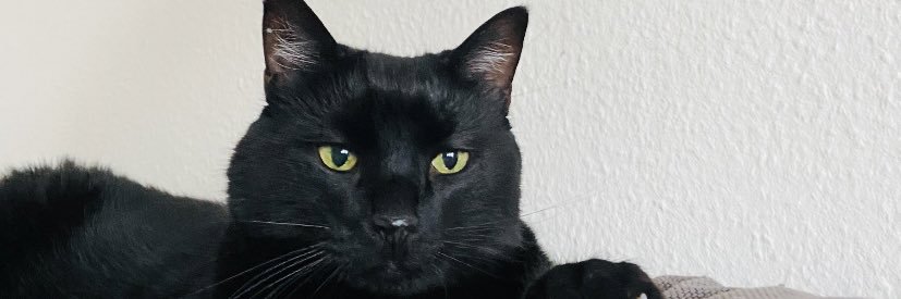 Winalien's profile banner image