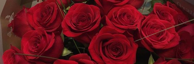 EloiseMayX's profile banner image