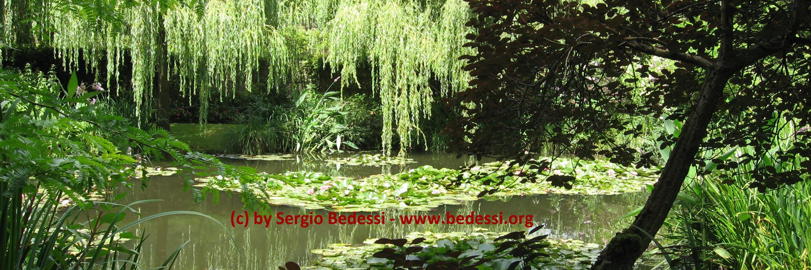 bedessi's profile banner image
