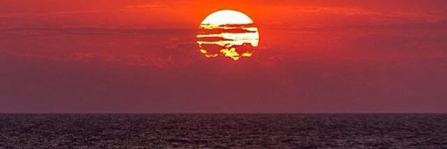 David Sinclair banner