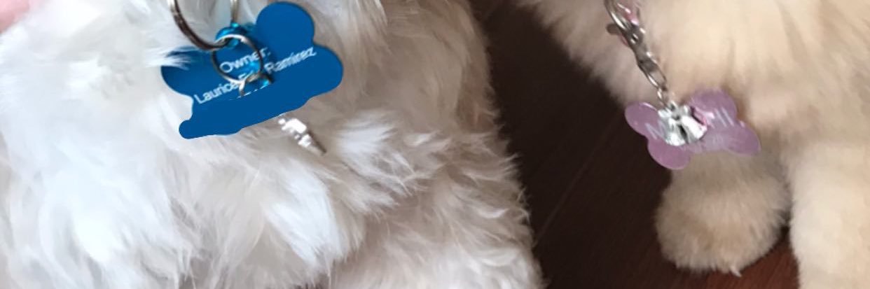 laureadoble's profile banner image