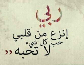 2Fajer's profile banner image