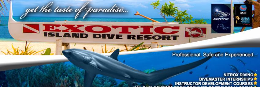 Exotic_Divers's profile banner image