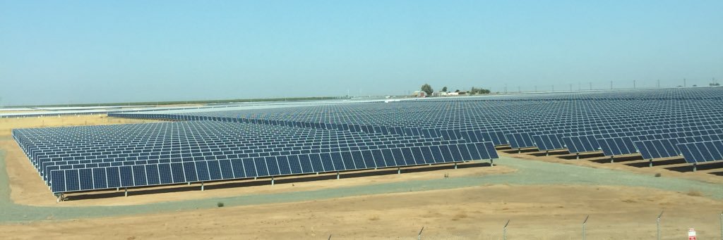 Laura H. Rhodes banner