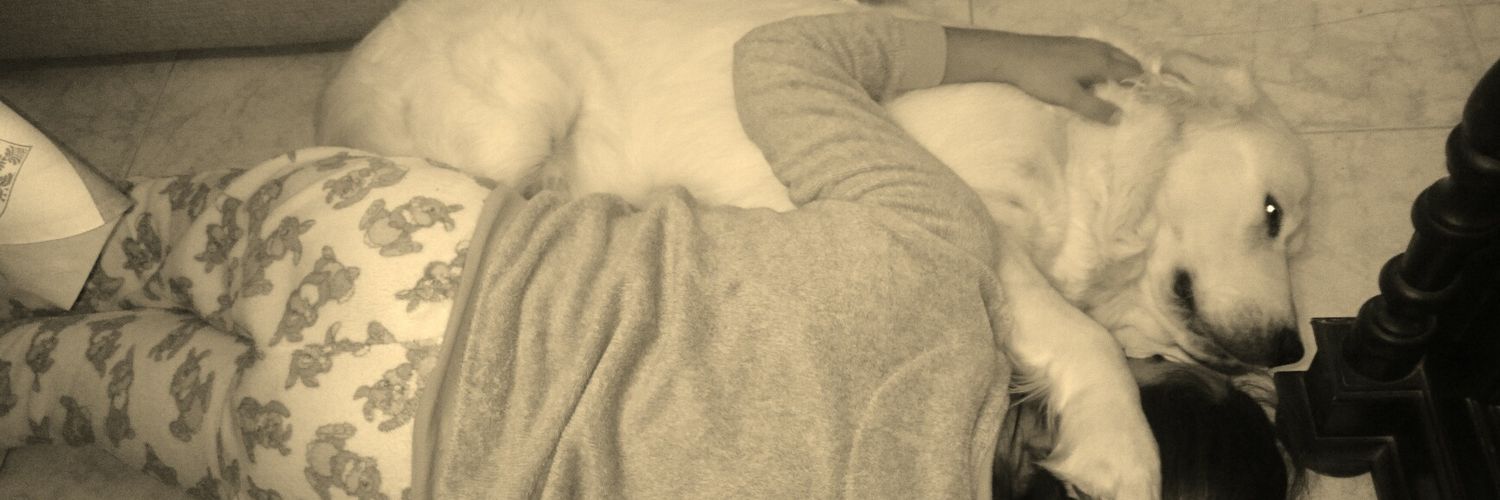 MeeeeeR16's profile banner image