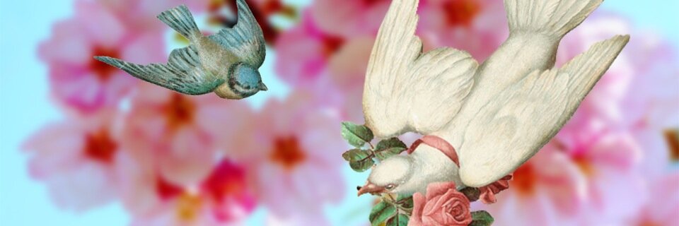 Ceiren_Bell's profile banner image