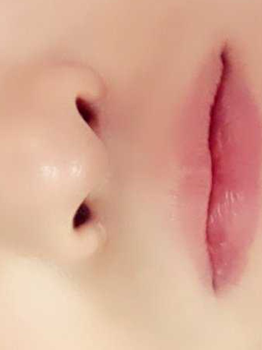 Lanie_squirtle's profile banner image