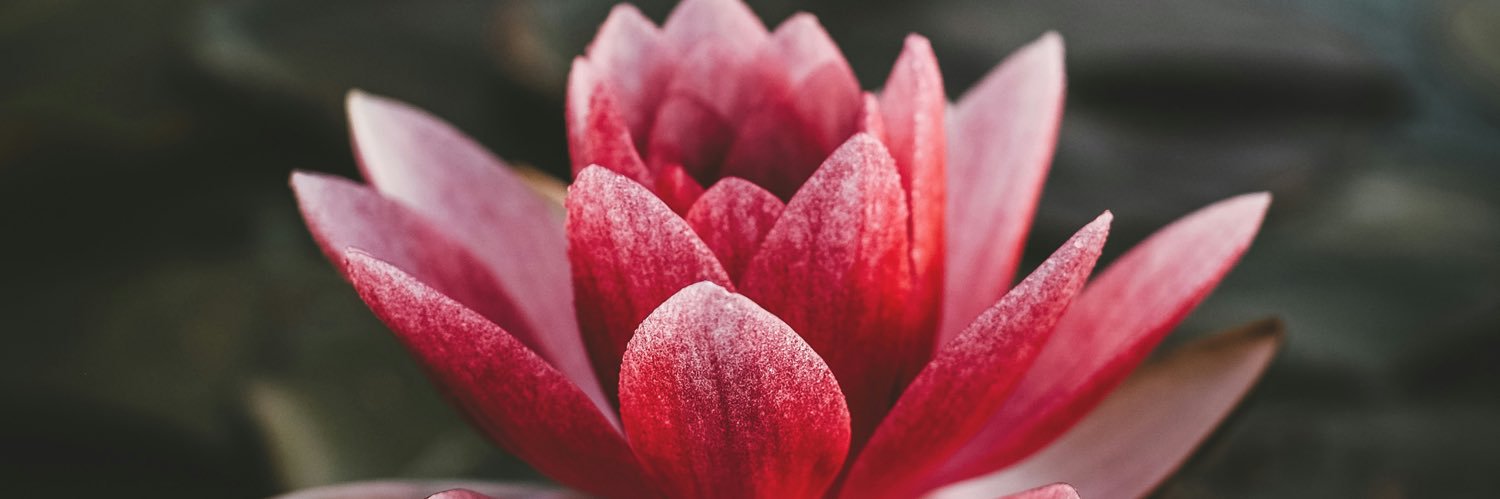 𝔐𝔞𝔯𝔦𝔢  banner