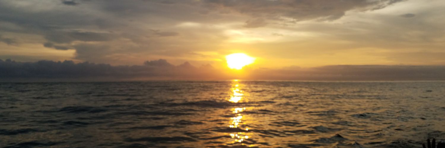 walruswarren's profile banner image
