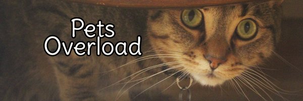 petoverloadblog Profile Banner