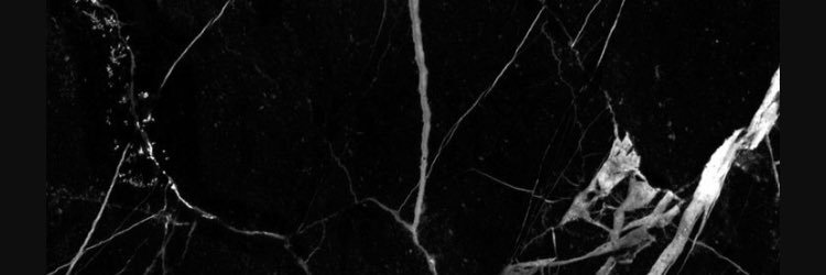 NicoletteBou's profile banner image