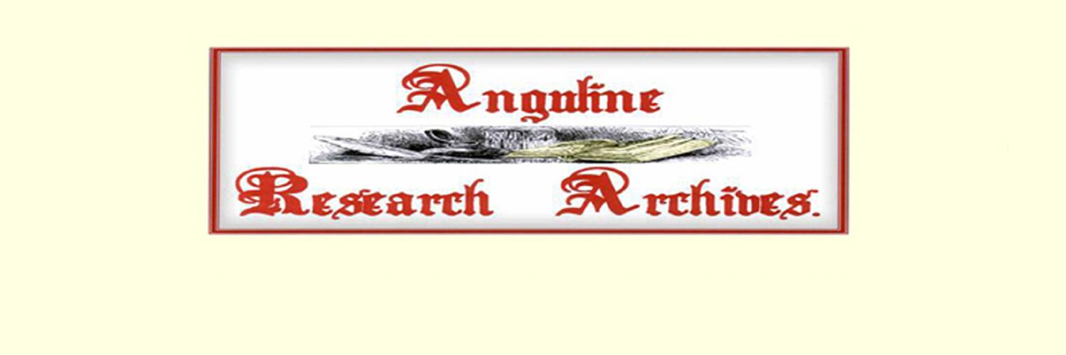 anguline's profile banner image