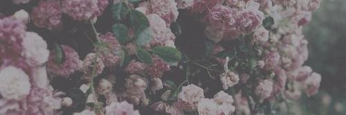 ForgetAnorexia's profile banner image