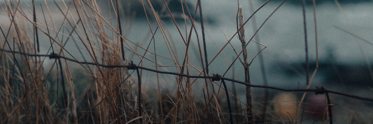 ClaudioZaia's profile banner image