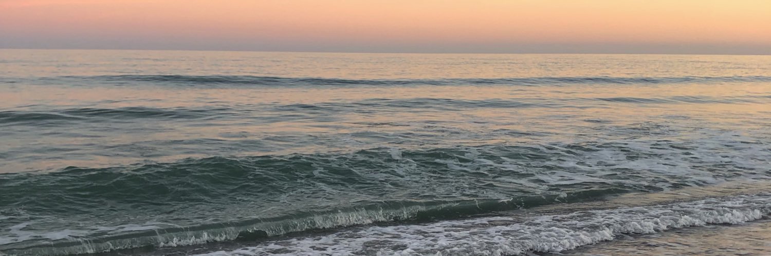 valeriaconejo's profile banner image