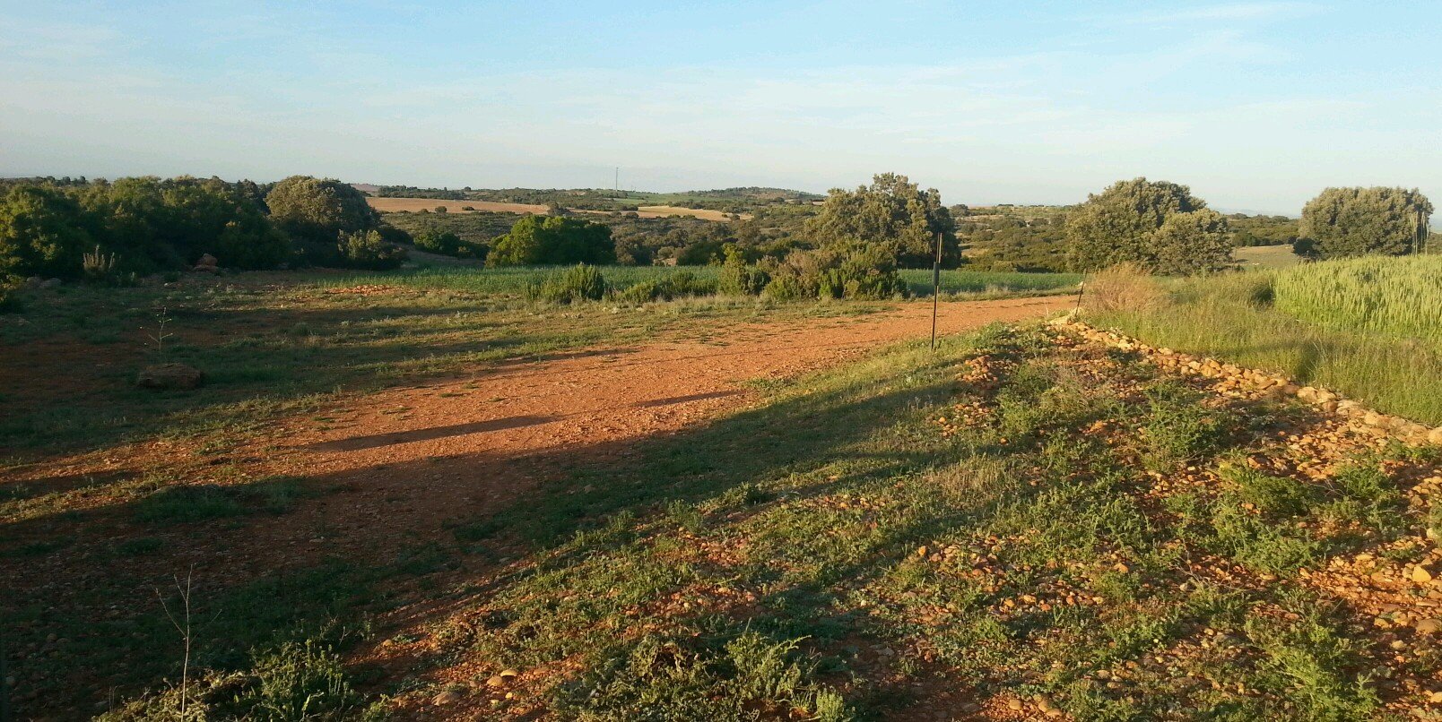 DanielSancha's profile banner image