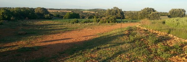 DanielSancha Profile Banner