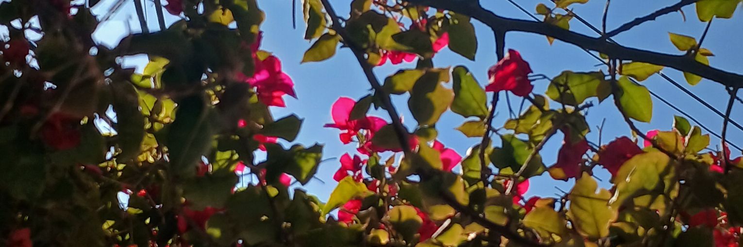 mishitown's profile banner image