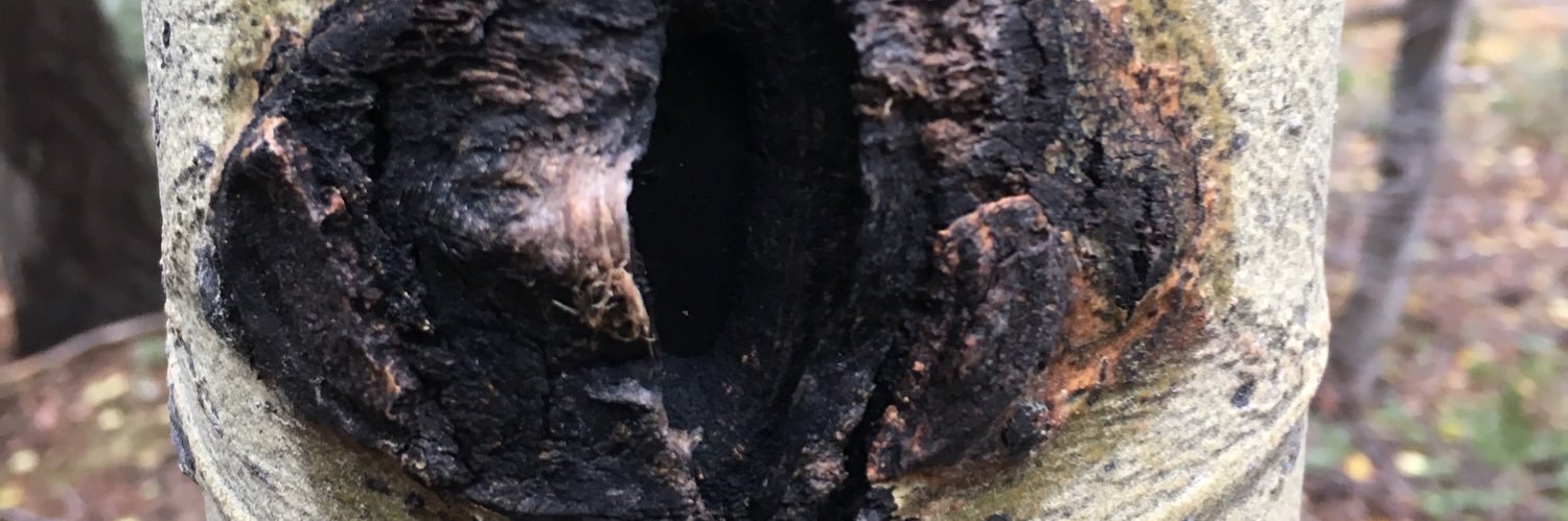 cpt. culo sucio 🤸‍♂️ banner