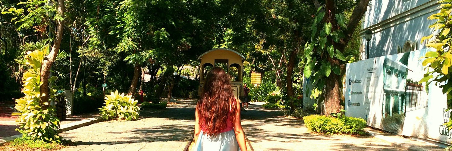 vivilu_95's profile banner image