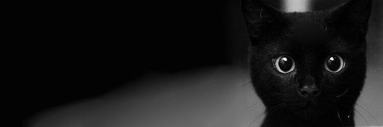 hwzn_92's profile banner image