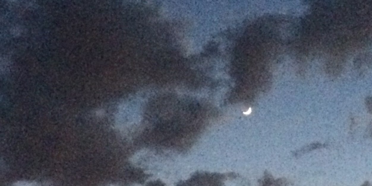 Irene Revollo banner