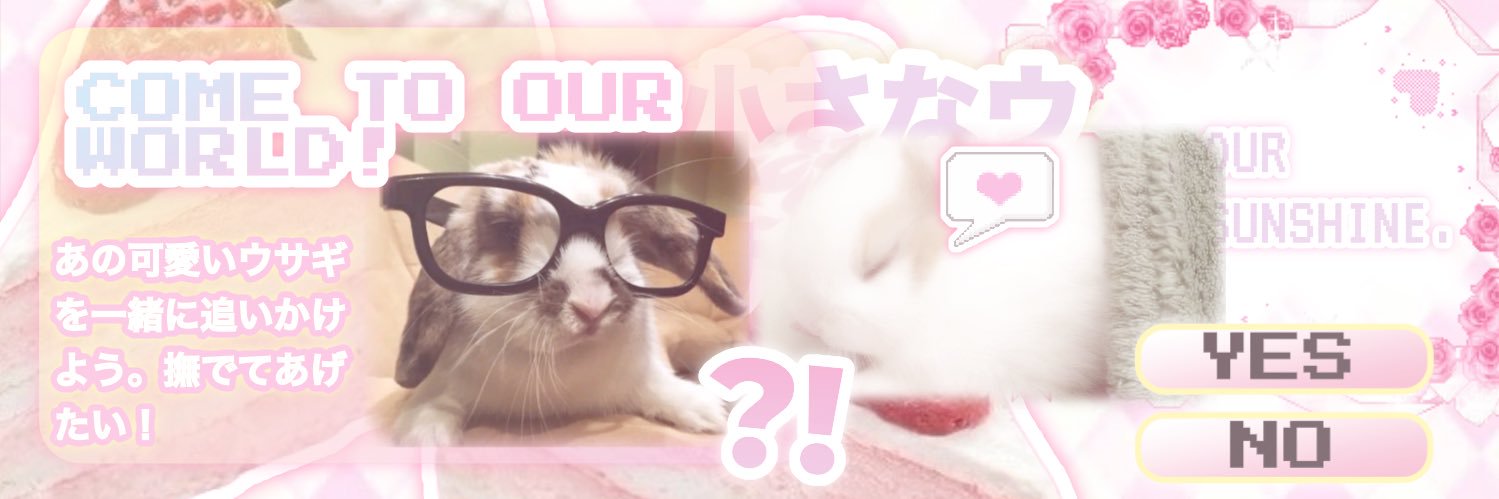 ૮₍ ˃ ⤙ ˂ ₎ა banner