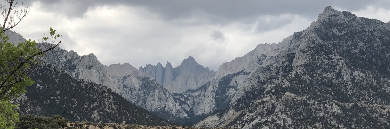 tylererniest's profile banner image