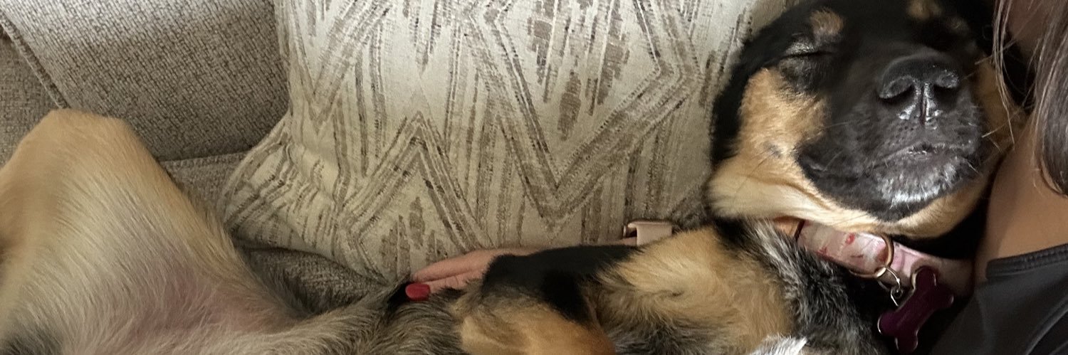 Cnoodlee's profile banner image