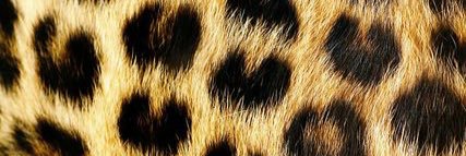 csyLyn's profile banner image