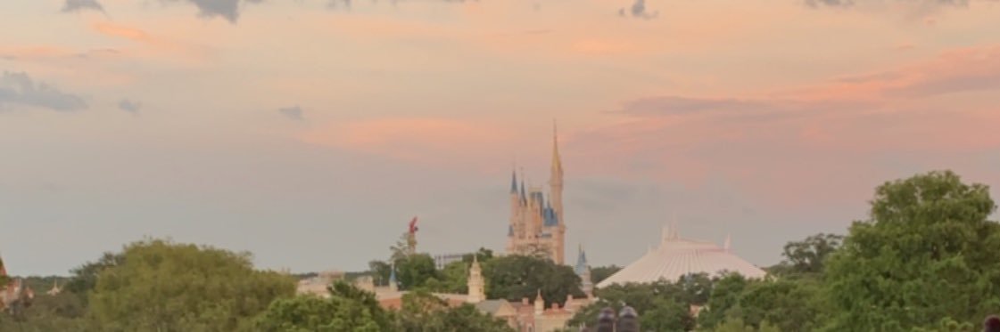 domlicci's profile banner image