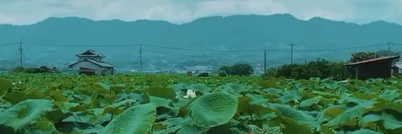 machere_arri's profile banner image