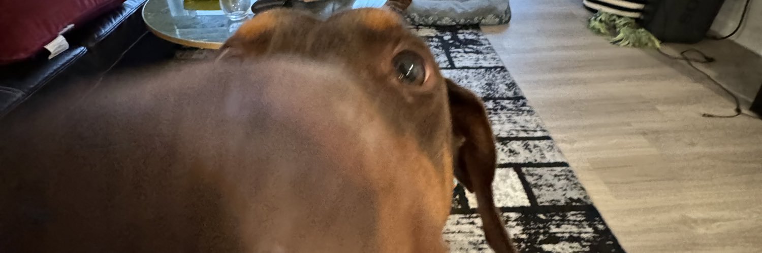 FrostKian's profile banner image