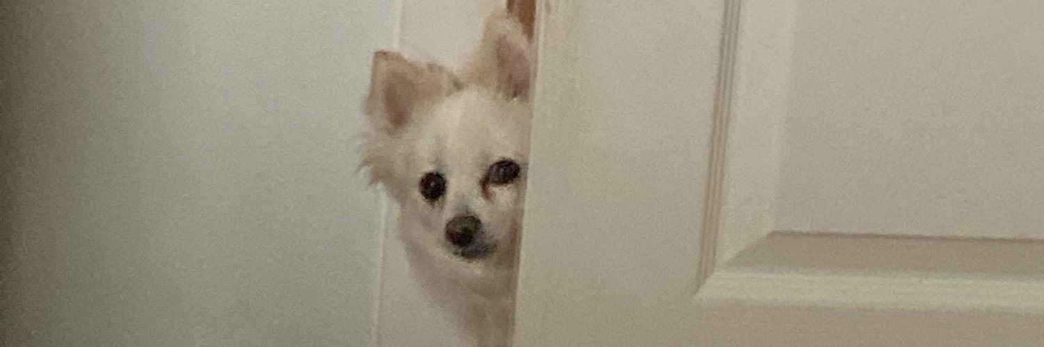 jallzus's profile banner image