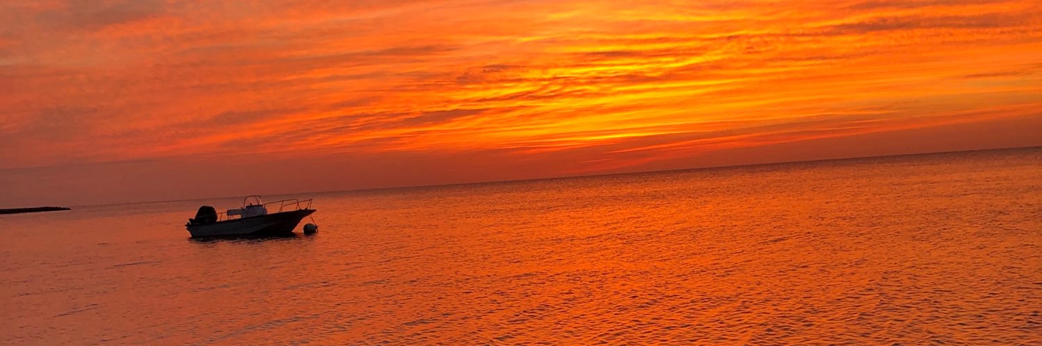 oliviaariley's profile banner image