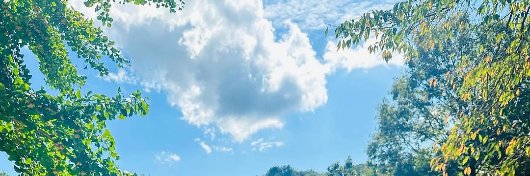 nayu_0103's profile banner image