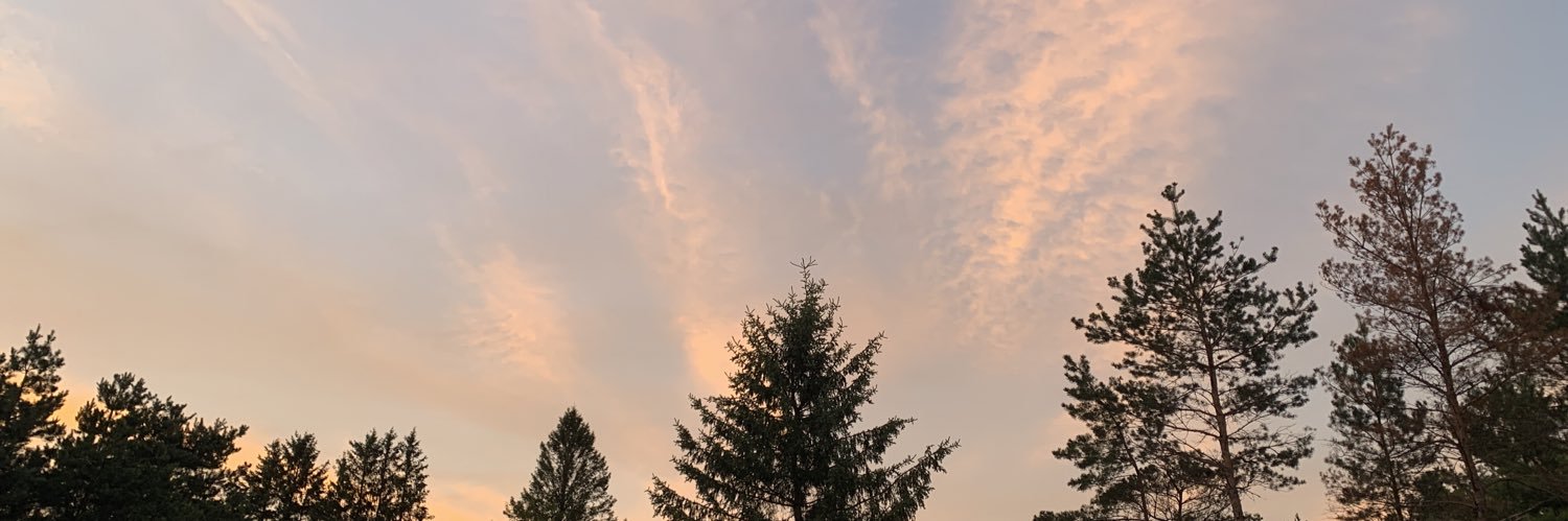 lysboudreau's profile banner image