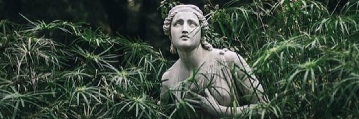 hunterbrasher20's profile banner image