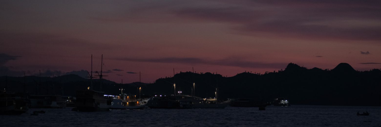 TikaTatum's profile banner image