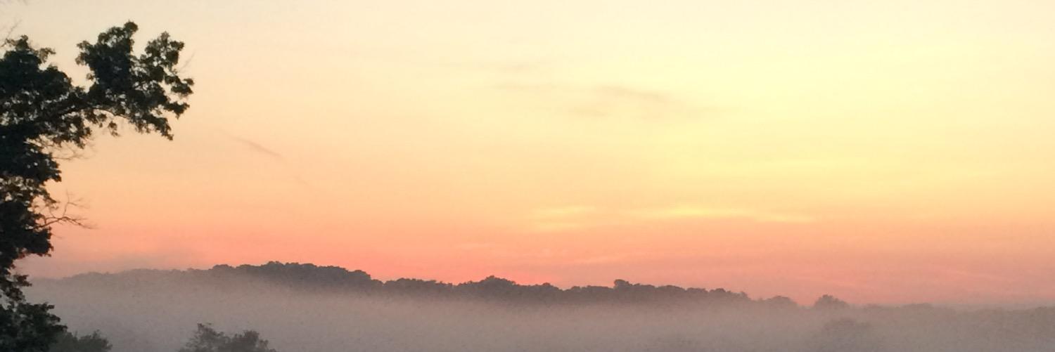 Chef banner