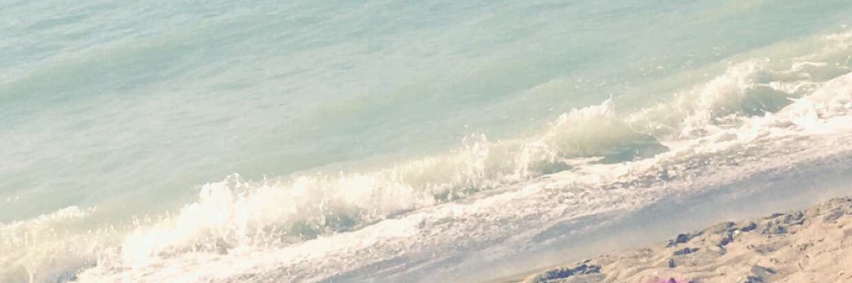 Tiff_Renea's profile banner image