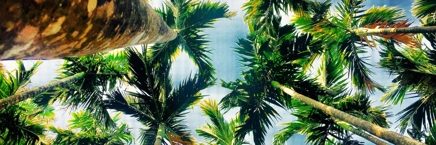 Punitivity's profile banner image