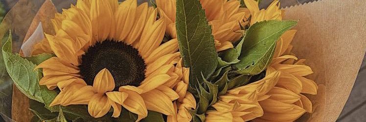 GenesisAlvare2's profile banner image