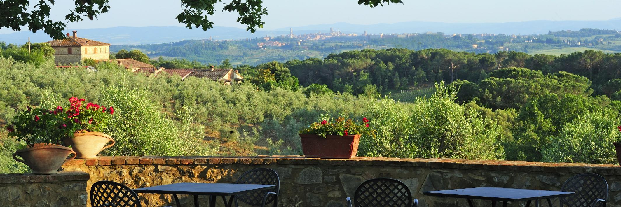 corsignano's profile banner image