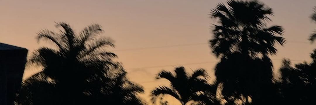 SD454DFS's profile banner image