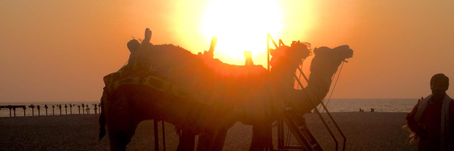 KimGregory_'s profile banner image