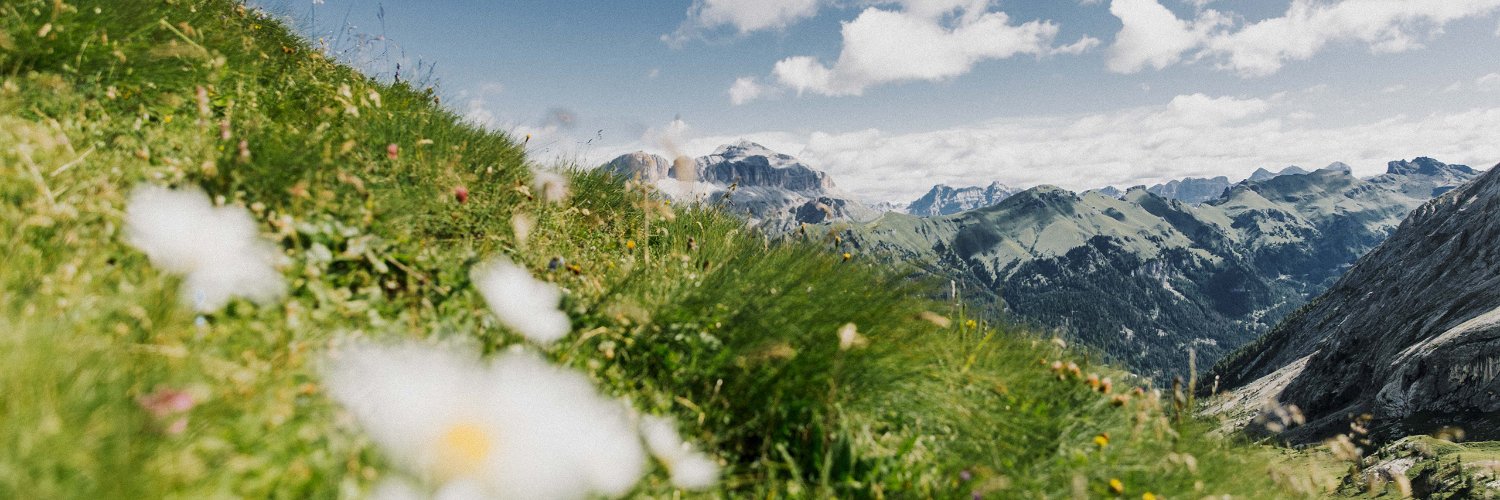 valdifassa's profile banner image