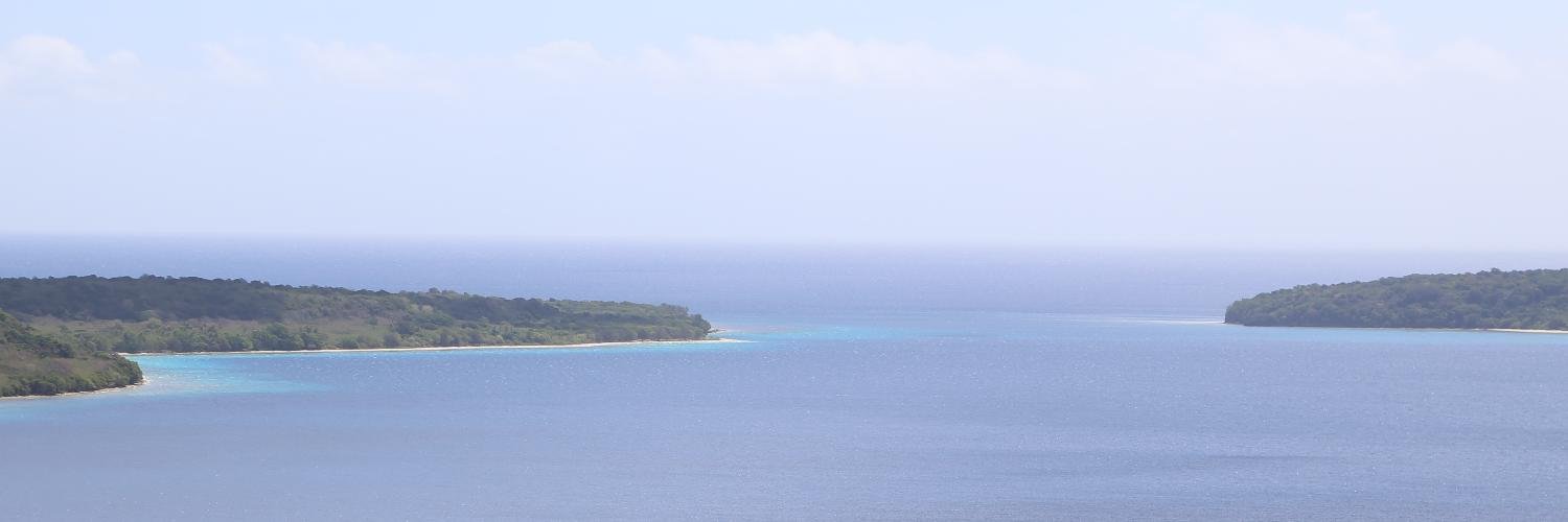 François Lermigeaux banner