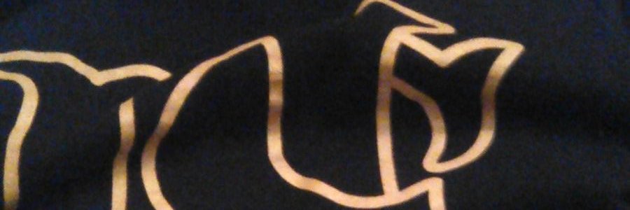 TAThisThatBurk1's profile banner image